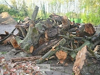 Partij brandhout - afbeelding 4 van  6
