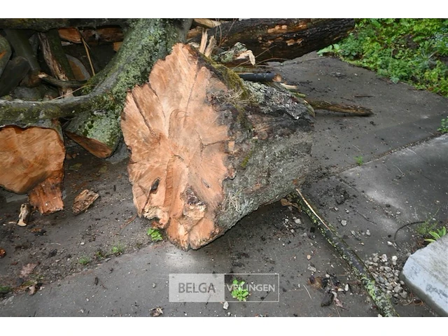 Partij brandhout - afbeelding 5 van  6