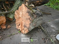 Partij brandhout - afbeelding 5 van  6