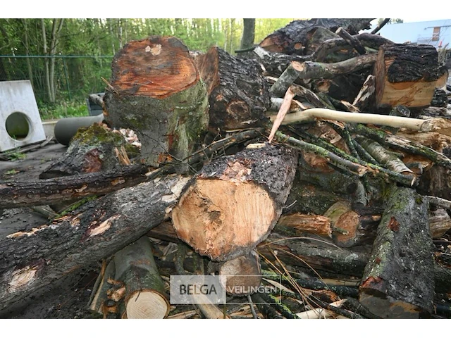 Partij brandhout - afbeelding 6 van  6