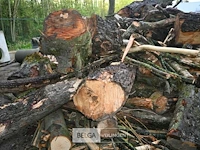 Partij brandhout - afbeelding 6 van  6