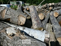 Partij brandhout - afbeelding 3 van  5
