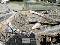 Partij brandhout - afbeelding 2 van  5