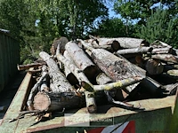 Partij brandhout - afbeelding 2 van  6