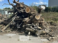 Partij brandhout - afbeelding 1 van  2