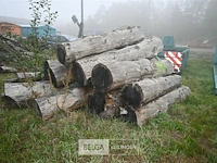 Partij brandhout - afbeelding 3 van  4