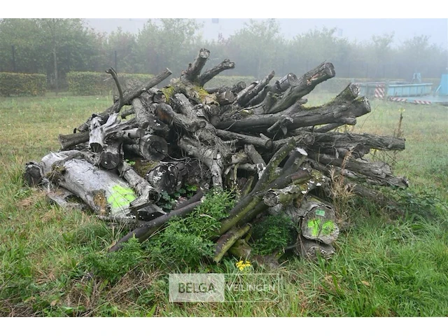 Partij brandhout - afbeelding 3 van  5