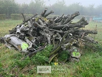 Partij brandhout - afbeelding 3 van  5