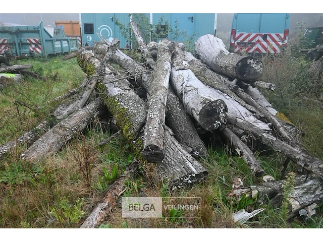 Partij brandhout - afbeelding 3 van  4