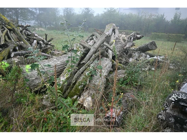 Partij brandhout - afbeelding 2 van  4