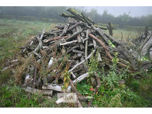 Partij brandhout - afbeelding 2 van  4