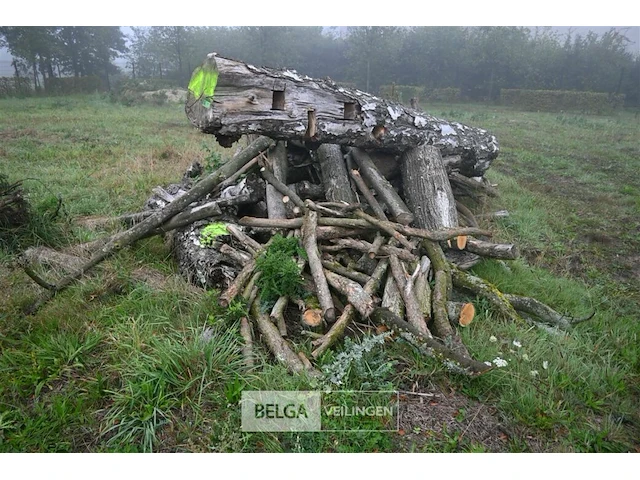 Partij brandhout - afbeelding 1 van  4