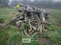 Partij brandhout - afbeelding 1 van  4