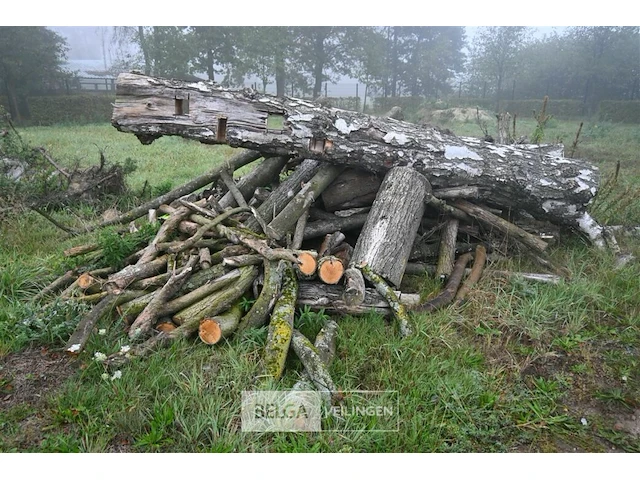 Partij brandhout - afbeelding 2 van  4