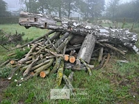 Partij brandhout - afbeelding 2 van  4
