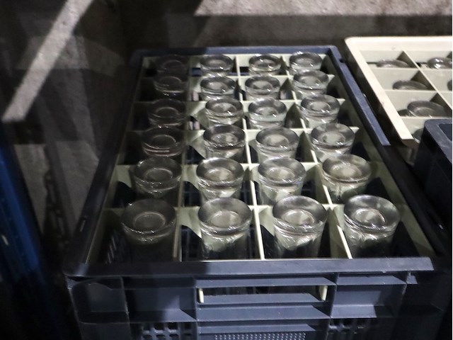 Partij carlsberg glazen - afbeelding 4 van  5