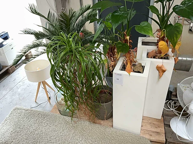 Partij decoratie - afbeelding 1 van  10