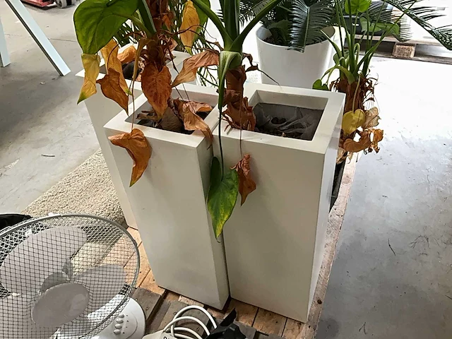 Partij decoratie - afbeelding 5 van  10