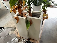 Partij decoratie - afbeelding 5 van  10