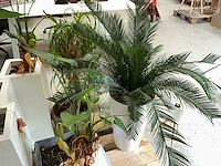 Partij decoratie - afbeelding 7 van  10