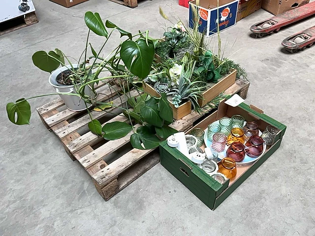 Partij decoratie - afbeelding 1 van  4