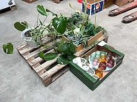 Partij decoratie - afbeelding 1 van  4