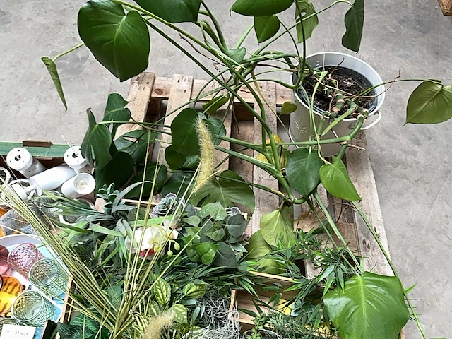 Partij decoratie - afbeelding 4 van  4