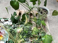Partij decoratie - afbeelding 4 van  4