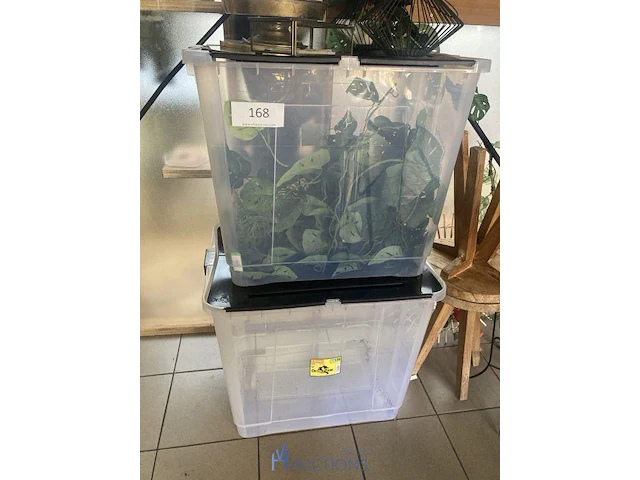 Partij decoratie - afbeelding 2 van  5