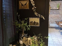 Partij decoratie - afbeelding 1 van  4