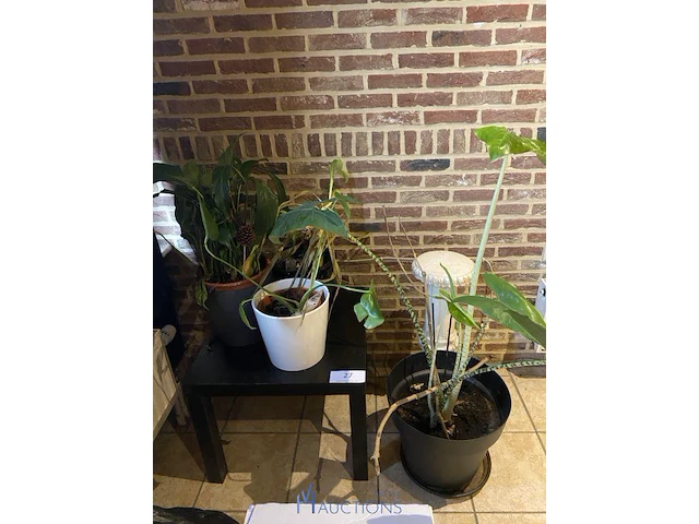 Partij decoratie - afbeelding 1 van  4