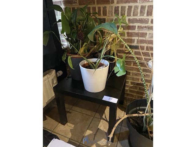 Partij decoratie - afbeelding 2 van  4