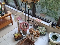Partij decoratie - afbeelding 1 van  2