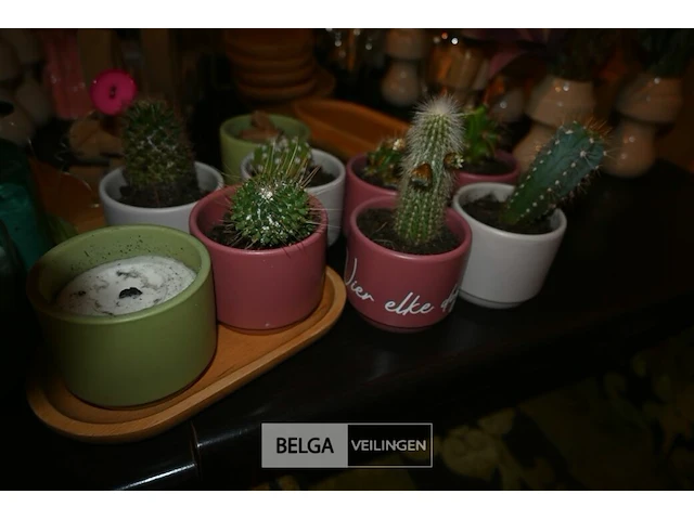 Partij decoratie - afbeelding 5 van  9