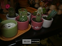 Partij decoratie - afbeelding 5 van  9