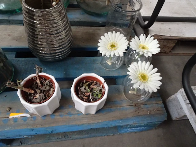 Partij decoratie - afbeelding 6 van  8