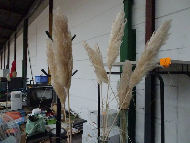 Partij decoratie - afbeelding 8 van  8