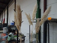 Partij decoratie - afbeelding 8 van  8