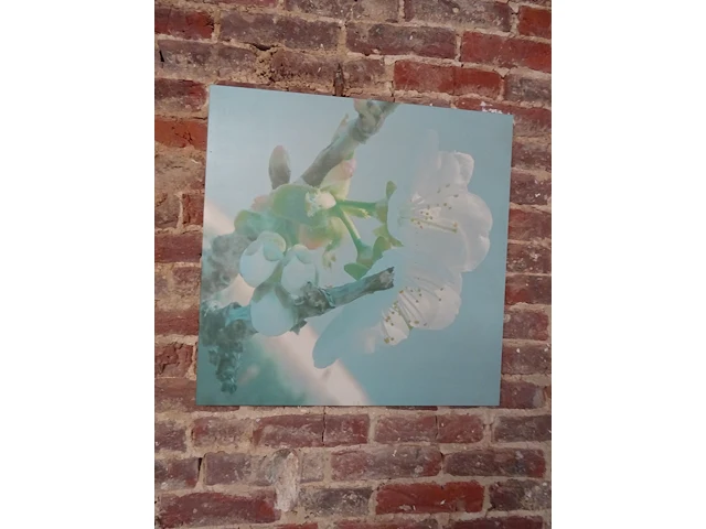 Partij decoratie - afbeelding 19 van  31