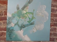 Partij decoratie - afbeelding 19 van  31