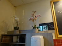 Partij decoratie - afbeelding 2 van  14