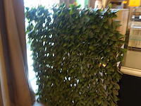 Partij decoratie - afbeelding 3 van  14