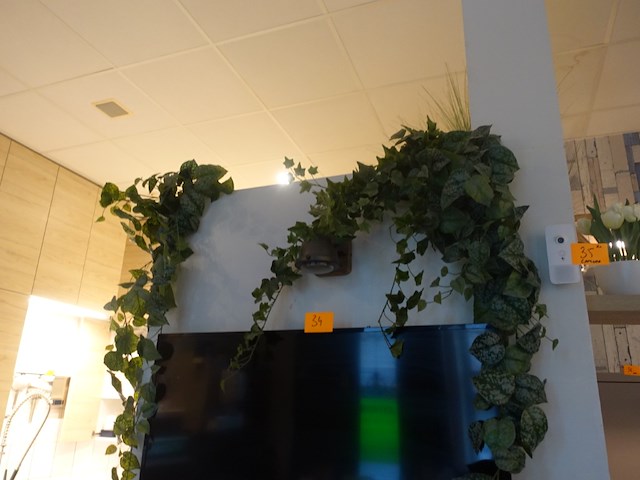 Partij decoratie - afbeelding 10 van  14