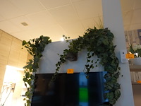 Partij decoratie - afbeelding 10 van  14