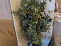 Partij decoratie - afbeelding 11 van  14