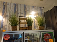 Partij decoratie - afbeelding 13 van  14