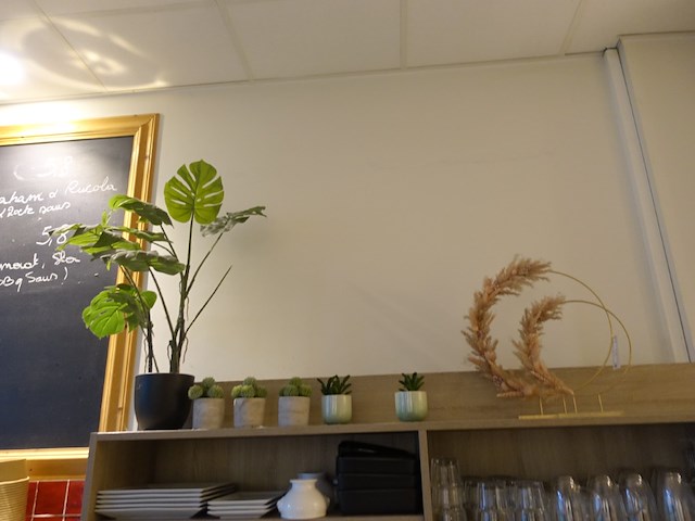 Partij decoratie - afbeelding 14 van  14