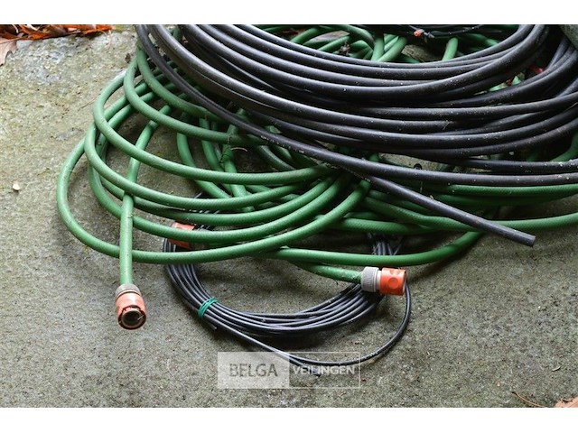 Partij div darmen - afbeelding 2 van  5