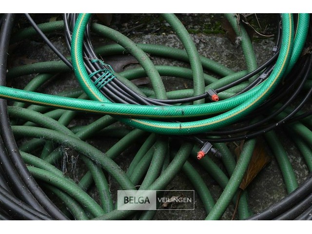 Partij div darmen - afbeelding 5 van  5