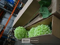 Partij div deco bloemen en decobladeren - afbeelding 3 van  4
